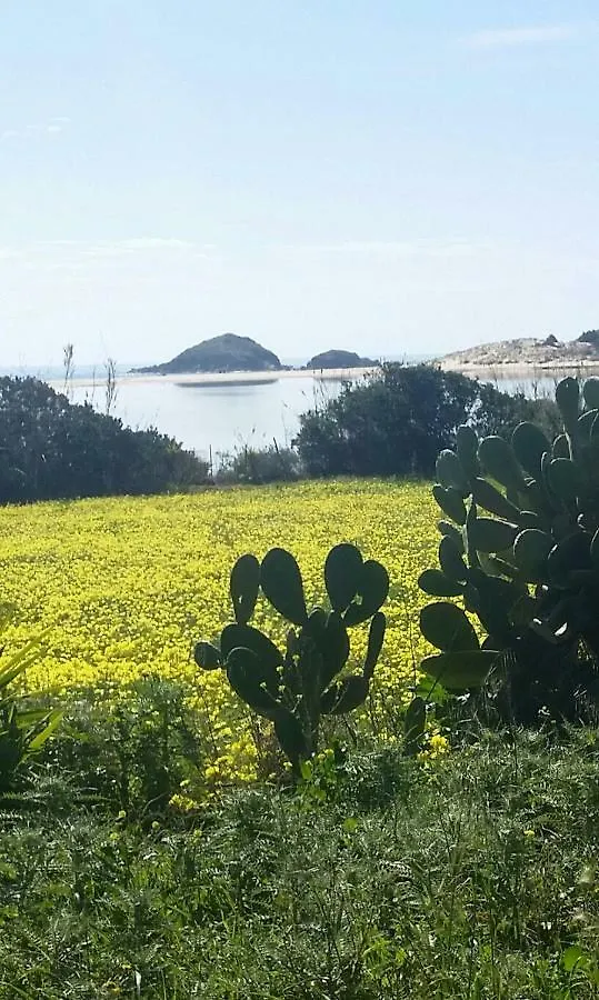 L'Onda Blu Bed & Breakfast Domus De Maria